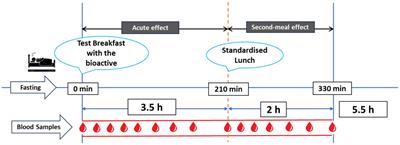 Oat polar lipids and sunflower lecithin similarly improve cardiometabolic risk markers and appetite controlling hormone responses after breakfast and a subsequent lunch. A randomized crossover study in healthy adults